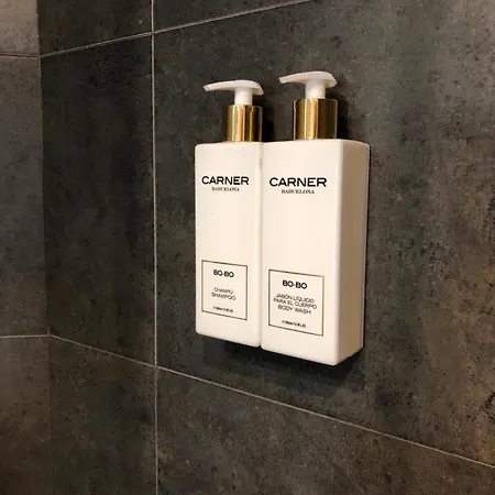 Quatrecantons Apartment Camprodon